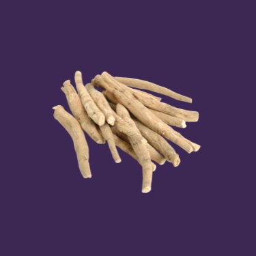 Ashwagandha Extract