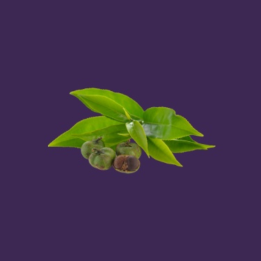 L-Theanine
